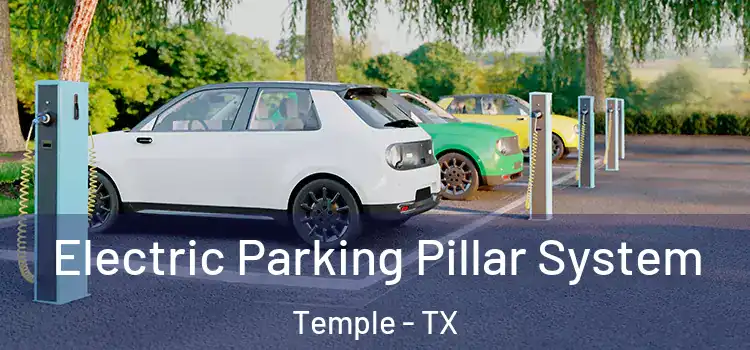 Electric Parking Pillar System Temple - TX