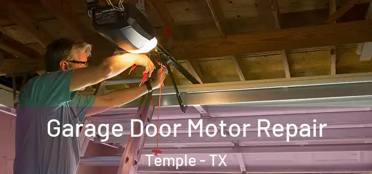  Garage Door Motor Repair Temple - TX