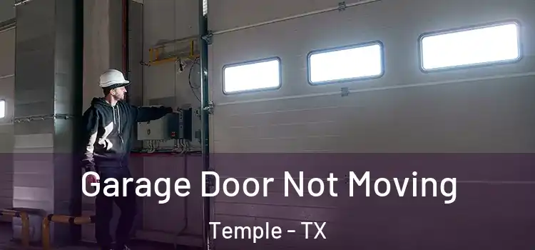  Garage Door Not Moving Temple - TX