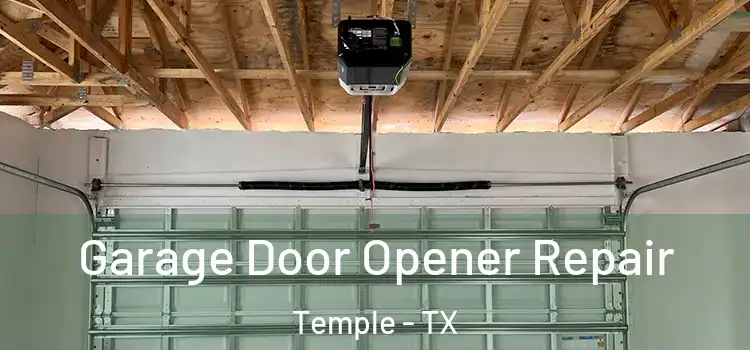  Garage Door Opener Repair Temple - TX