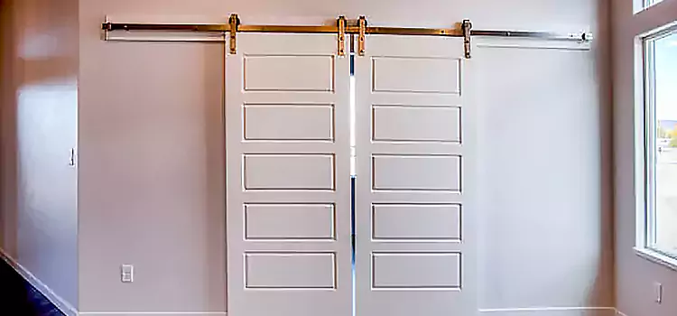 Glass Barn Door with Installation Hardware Kit Temple