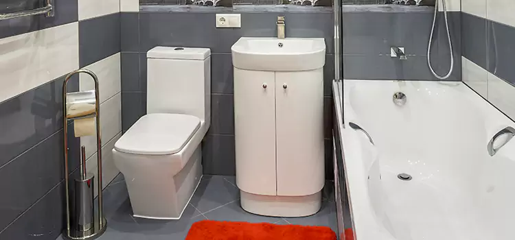 Hansgrohe Shaving Mirror Temple